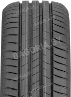 205/55R17 95W XL