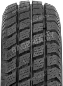 Легковые шины Roadstone Euro-Win 800