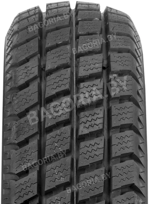 Зимняя шина Roadstone Euro-Win 800